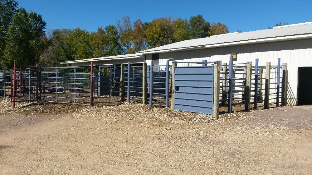 Facilities Clear Lake Veterinary Clinic PC